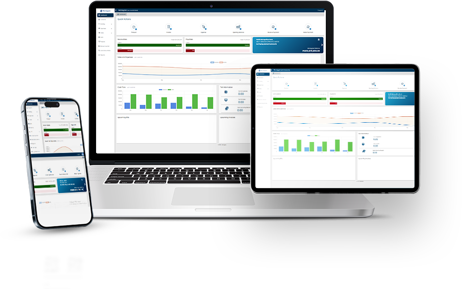Cloud-Based Accounting Software Dashboard
