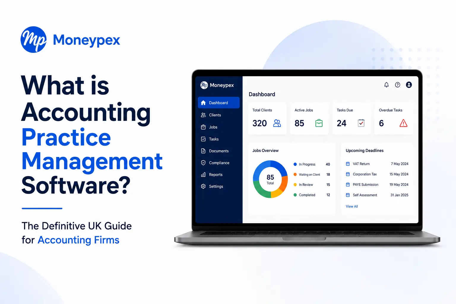 What is Accounting Practice Management Software?